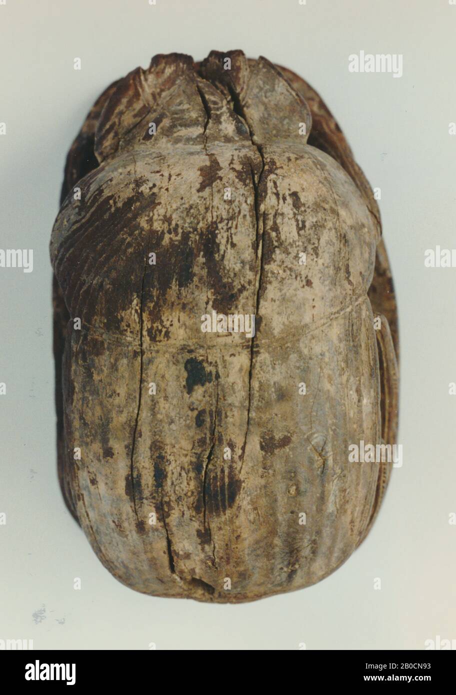 Carabeo cuore, cavo, 7 linee, sigillo, scarabeo, legno, 10,7 cm, Egitto Foto Stock