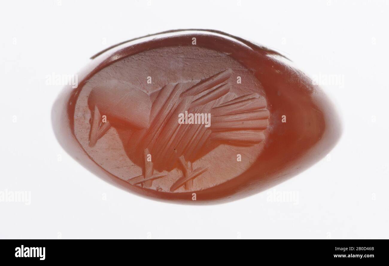 Uccello a destra, francobollo, carnelio, colore :, Forma: Ellissoide, Lavorazione:, Metodo:, 12,6 x 15,6 x 9,2 mm Foto Stock