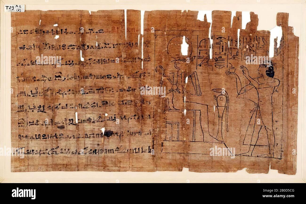 Egitto, calligrafia, ieratica, papiro, 24 x 57 cm Foto Stock