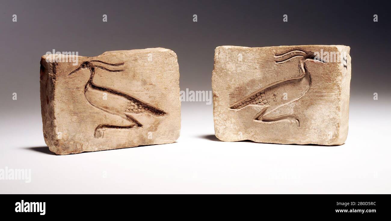 Muffa, airone, muffa, calcare, altezza: 5,2 cm, profondità: 7,4 cm, Tardo Periodo, periodo Saiziano, Egitto Foto Stock