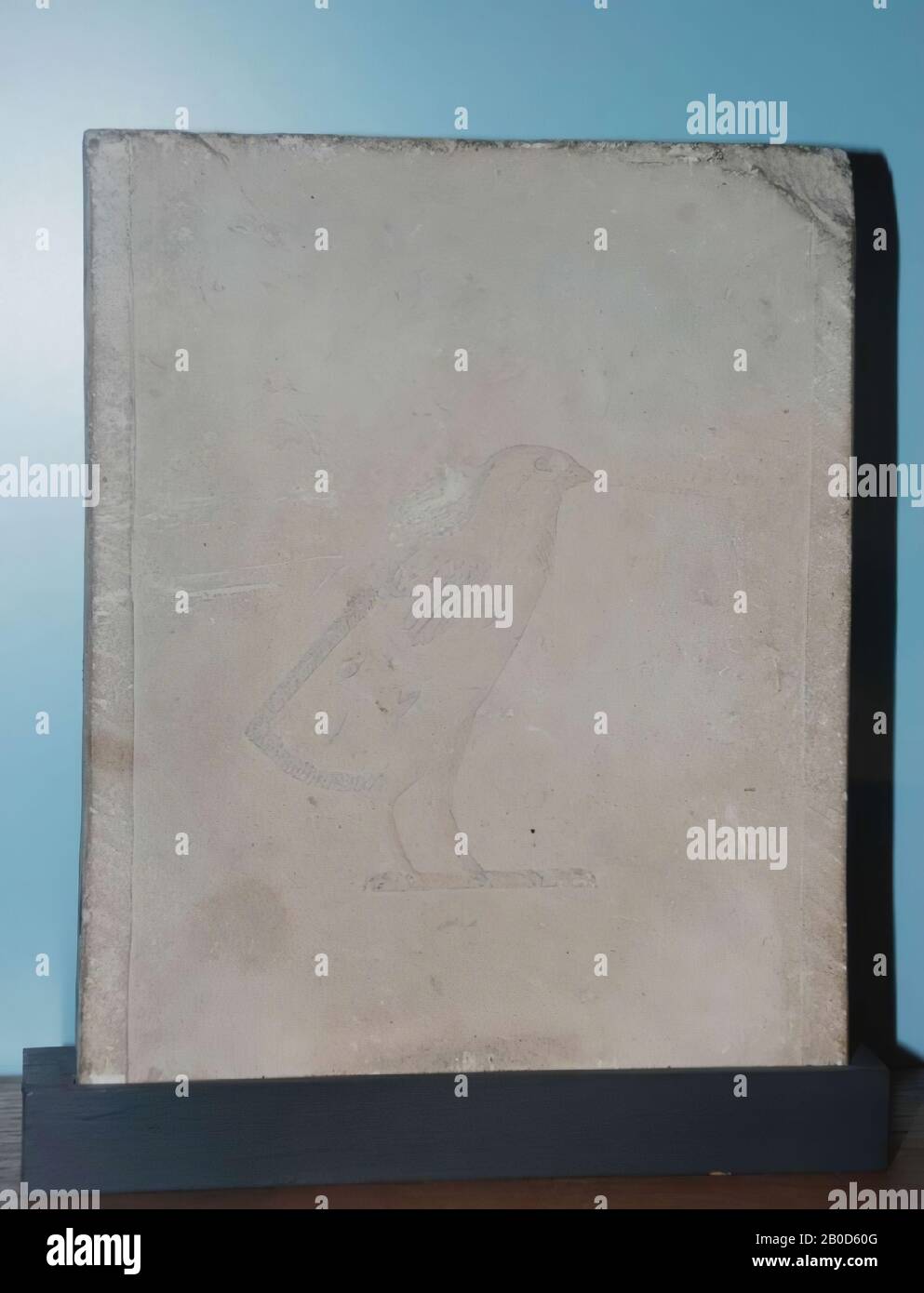 Modello, quaglia, geroglifo, helpline, modello scultore, calcare, 17,5 x 14,5 cm, Tardo Periodo, Saitian Periodo, Egitto Foto Stock