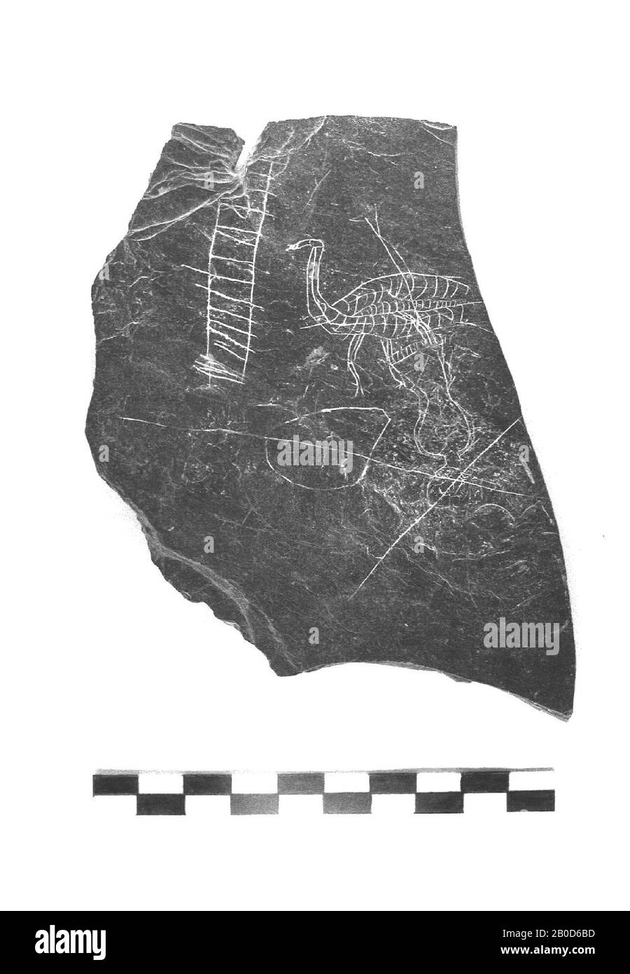 Pezzo di ardesia con sulla parte anteriore un disegno di un pavone, attraverso il quale sulla sua testa una bambola senza braccia e con una gamba è disegnato. Inoltre, una scala, o forse una scala per un soppalco. Il lato opposto è smussato e mostra molti graffi, parte di un disegno e l'inizio dell'alfabeto. Fino alla pausa c'è: ABCDE F., ardesia, disegno, bambola, testo, alfabeto, ardesia, 9 x 15,5 cm, spessore 0,8 cm, medievale 1350-1475, Olanda, Utrecht, Lopik, Lopikerkapel, Hofstede te Vliet Foto Stock