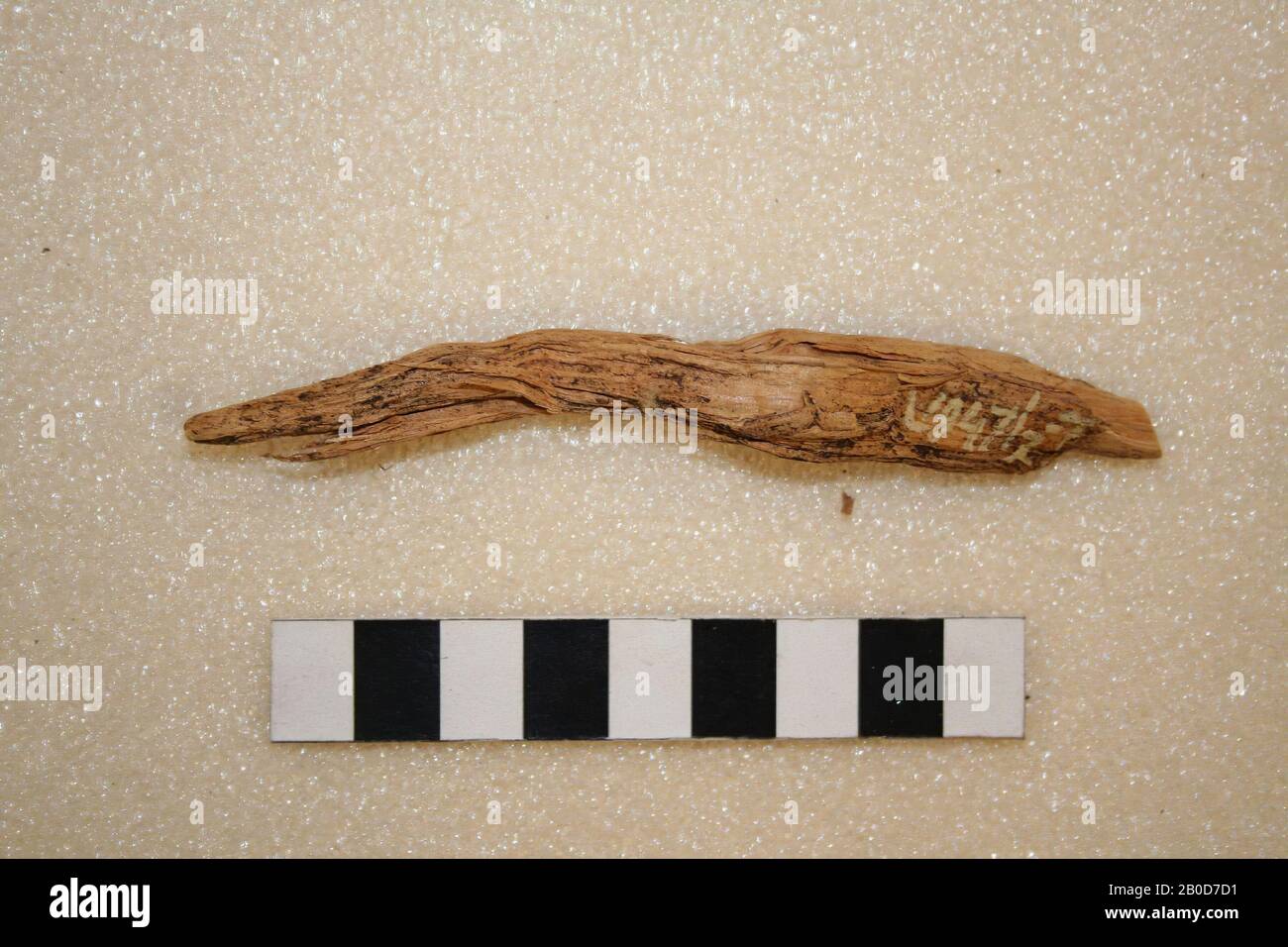 Pezzo di legno., Pezzo di legno, biologico, legno, l: 10,7 cm, br: 1,3 cm, Svizzera Foto Stock