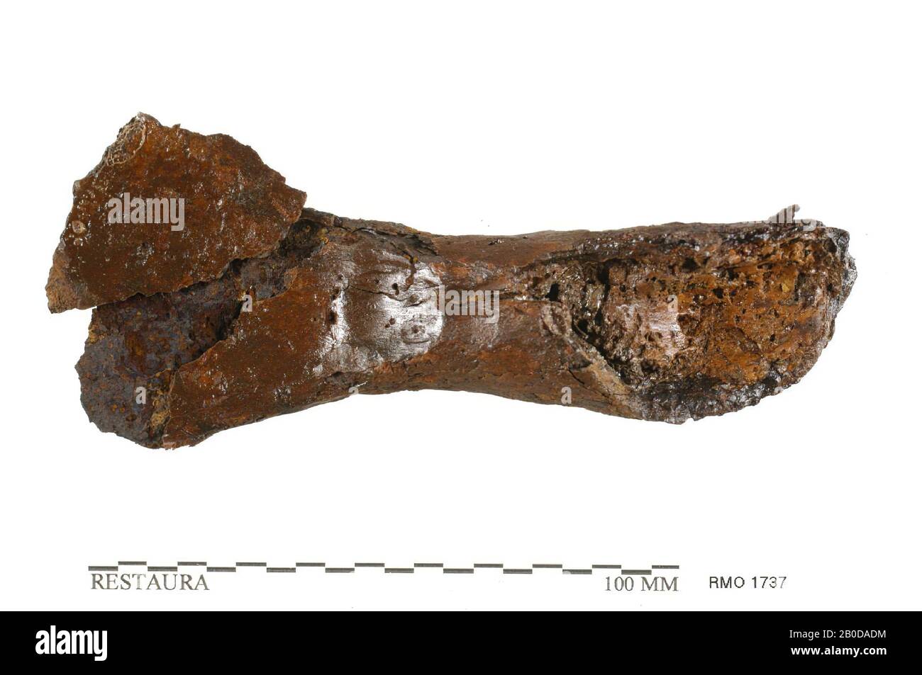 Gambo dell'oggetto, incompleto, gambo dell'oggetto, incompleto, ferro, 13,0 x 4,8 cm, x, Paesi Bassi, Utrecht, Wijk bij Duurstede, Wijk bij Duurstede, Dorestad Foto Stock