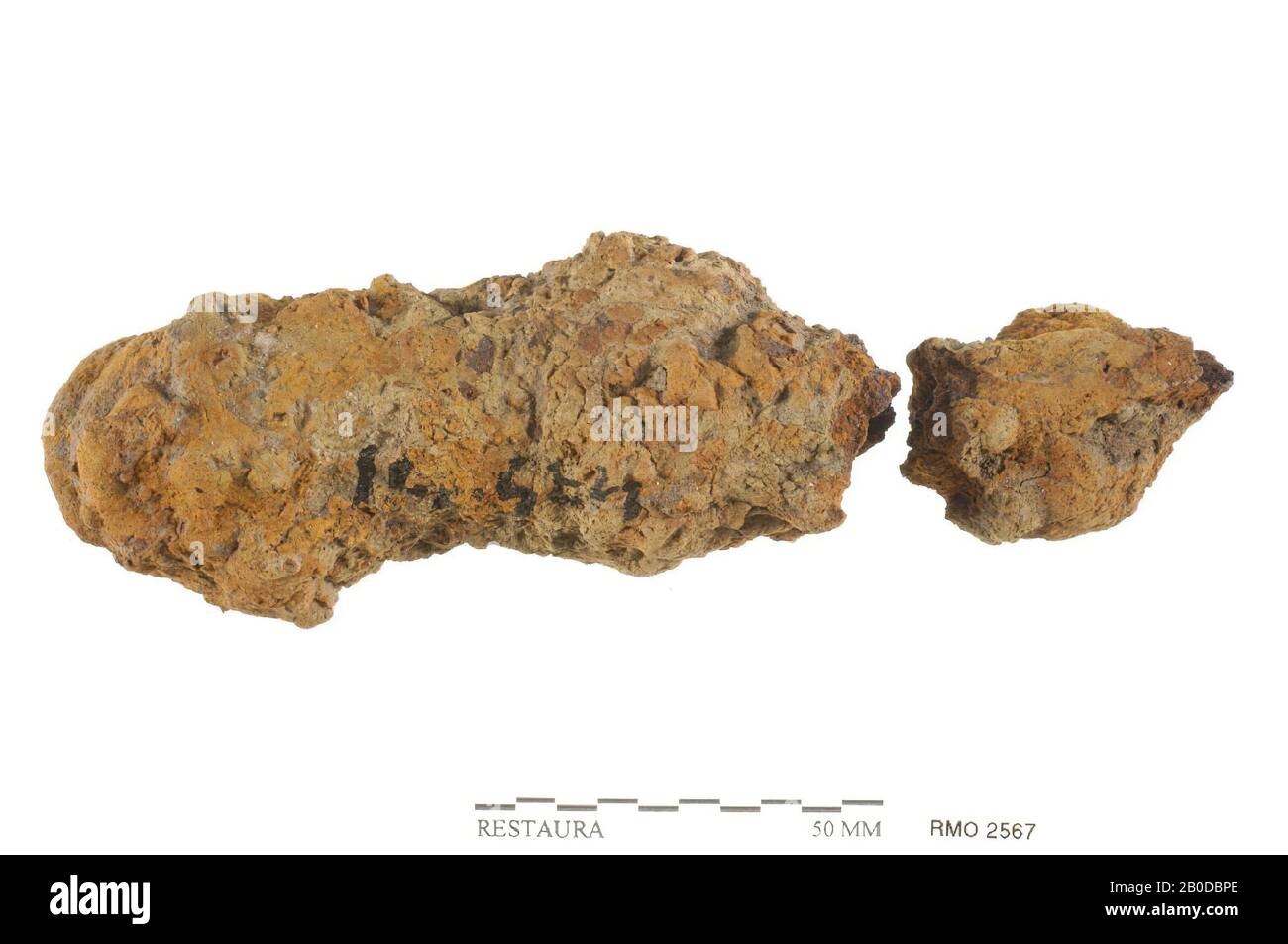 Frammenti di verga, frammenti di verga, ferro, 13,2 x 4,5 cm, x, Olanda, Utrecht, Wijk bij Duurstede, Wijk bij Duurstede, Dorestad Foto Stock