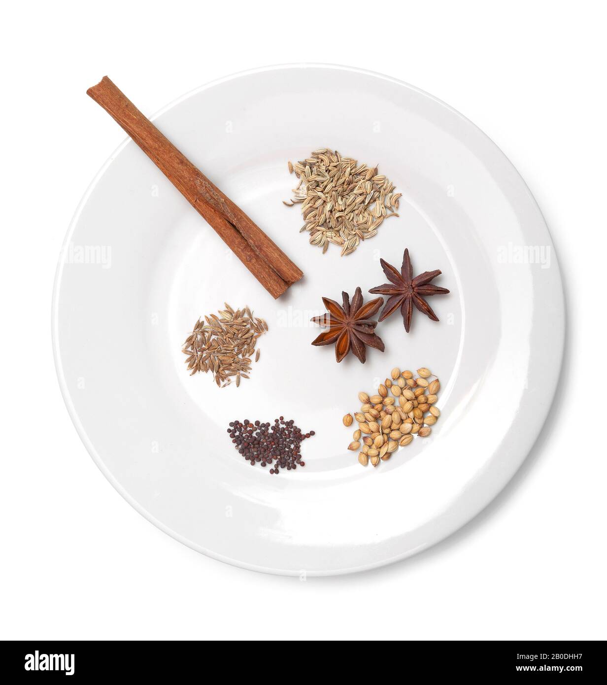 Una piccola varietà di spezie popolari su una piastra bianca, semi di finocchio, semi di cumino, anice stellato, semi di senape, corteccia della cannella Foto Stock