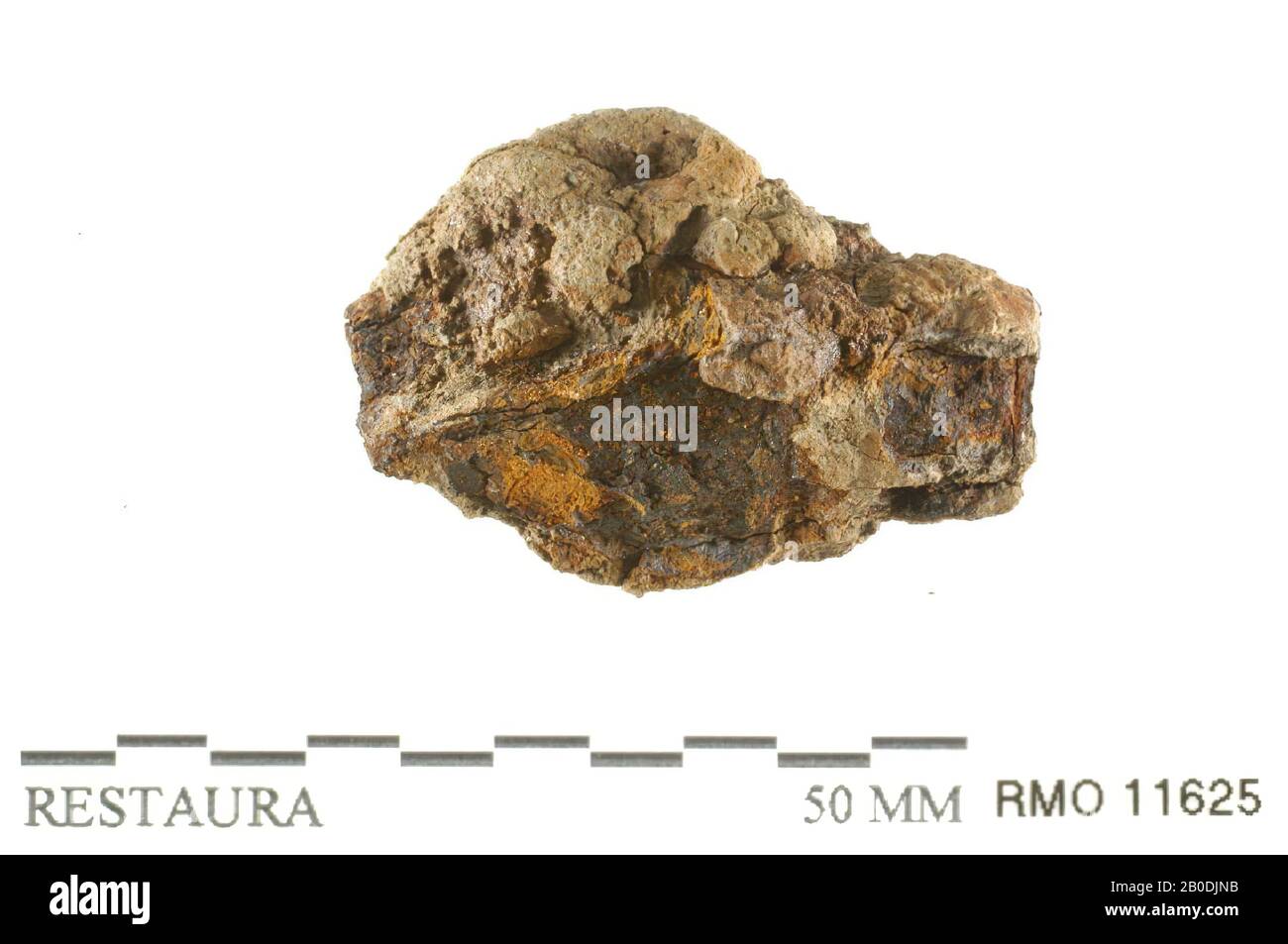 Bottone, 1 lato a forma di cuneo, altro lato rotondo, bottone, 1 lato a forma di cuneo, altro lato rotondo, ferro, 3,5 x 2,4 cm, x, Olanda, Utrecht, Wijk bij Duurstede, Wijk bij Duurstede , Dorestad Foto Stock