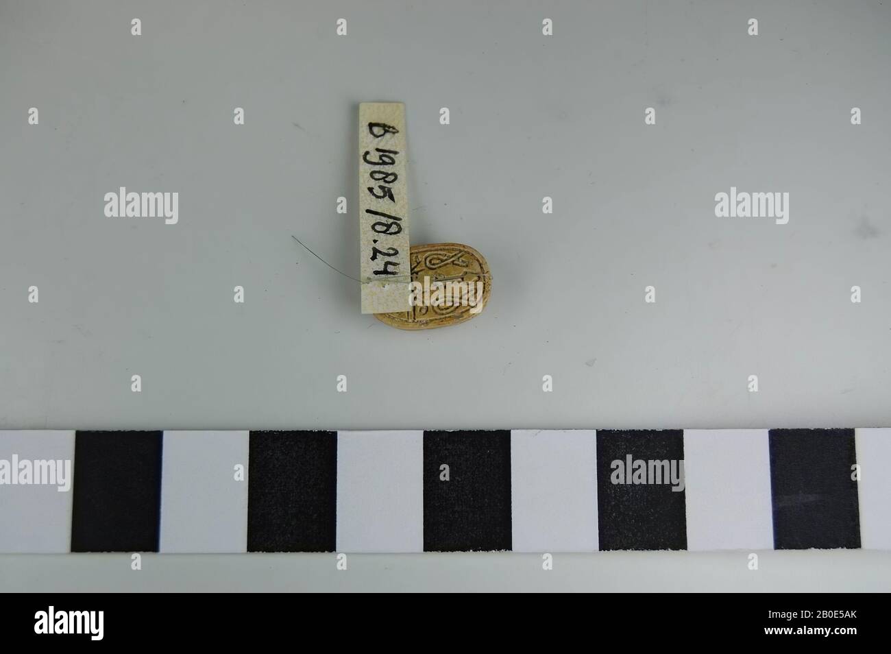 Una sciarpa di steatite con sul retro e ventre blu-verde e trasparente resti di un rivestimento bianco., ornamento, sigillo, pietra, steatite, H 0,5 cm, L 1,5 cm, Medio Bronzo età II 1800-1750 a.C., Palestina Foto Stock