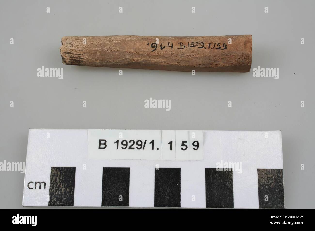 Antico Vicino Oriente, utensile, biologico, osso, L 8 cm, L 1,4 cm, H 1,4 cm, posizione, Palestina Foto Stock