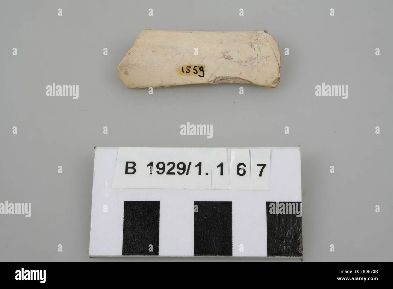 Antico Vicino Oriente, varie, organiche, ossa, L 5 cm, L 1,9 cm, H 1 cm, Ubicazione, Palestina Foto Stock