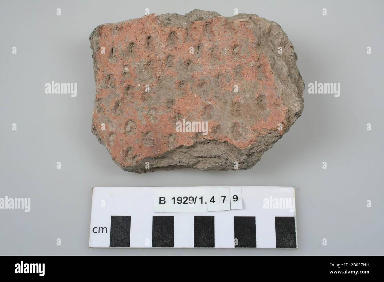 Un frammento di un foglio di cottura. L'interno ha impressioni ovali., beffa, terracotta, B 11,5 cm, età del ferro 1200-539 a.C., Palestina Foto Stock