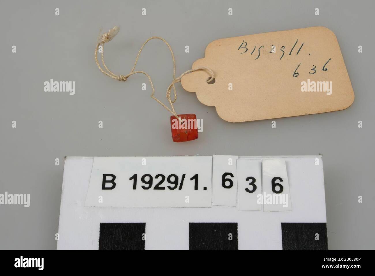 Ornamento, pietra, mais, H 0,6 cm, D 0,6 cm, Palestina Foto Stock