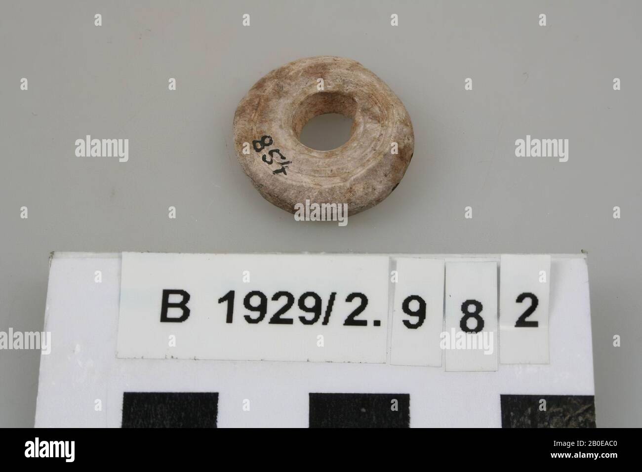 Ornamento, arnese, pietra, guscio (?), D 2,2 cm, Palestina Foto Stock