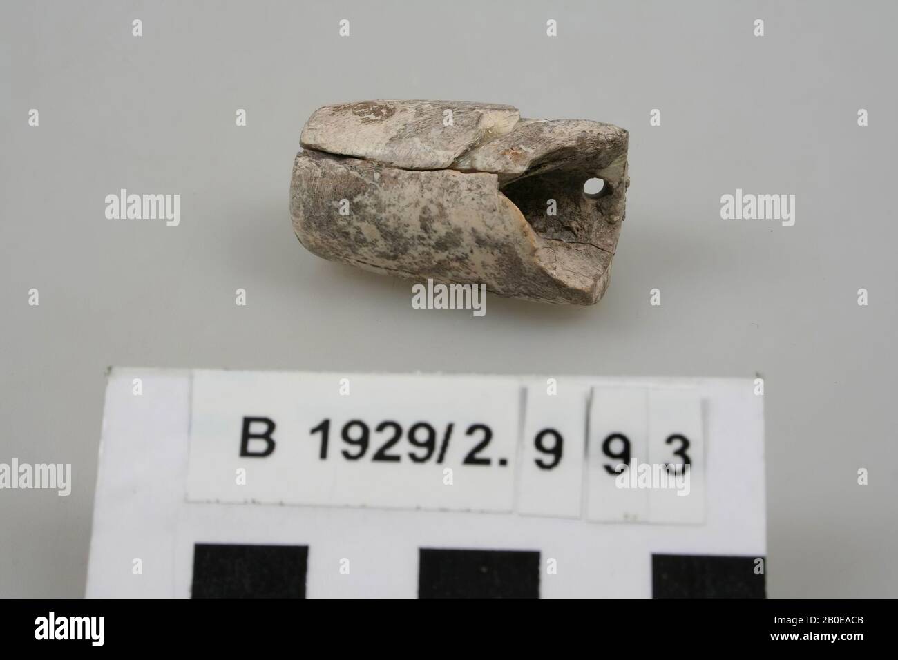 Varia, pietra, pietra, l: 3,5 cm, Israele Foto Stock