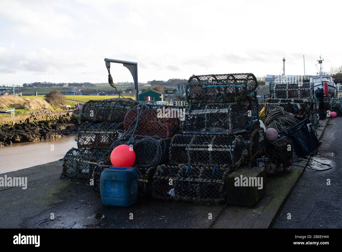 St ANDREWS, SCOZIA - 17/2/2020 - Portici di aragosta sul porto Foto Stock