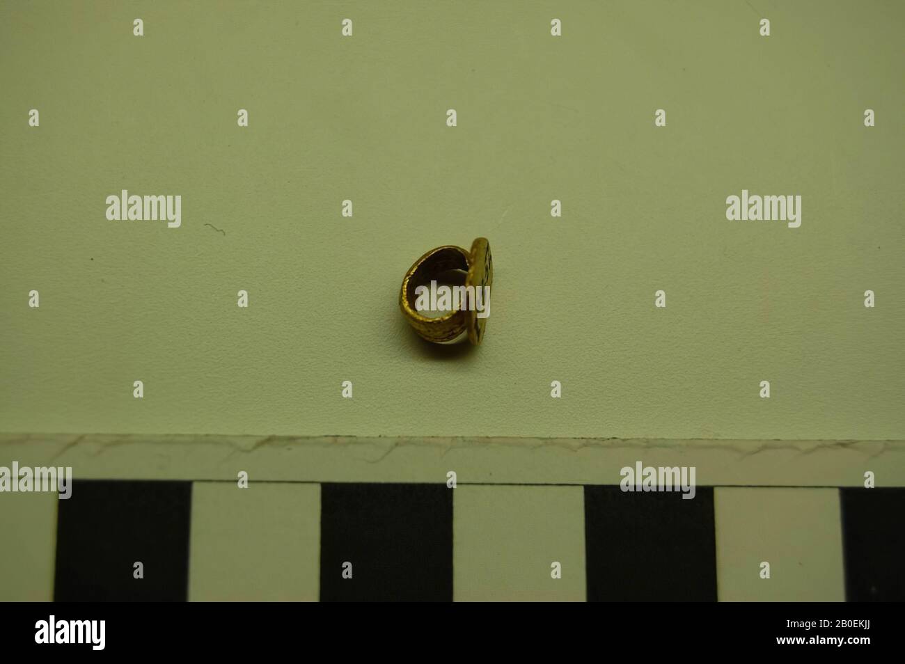 Occhiello scanalato con piastra circolare, occhiello, oro, 0,6 cm, ø 0,8 cm, tacchino Foto Stock