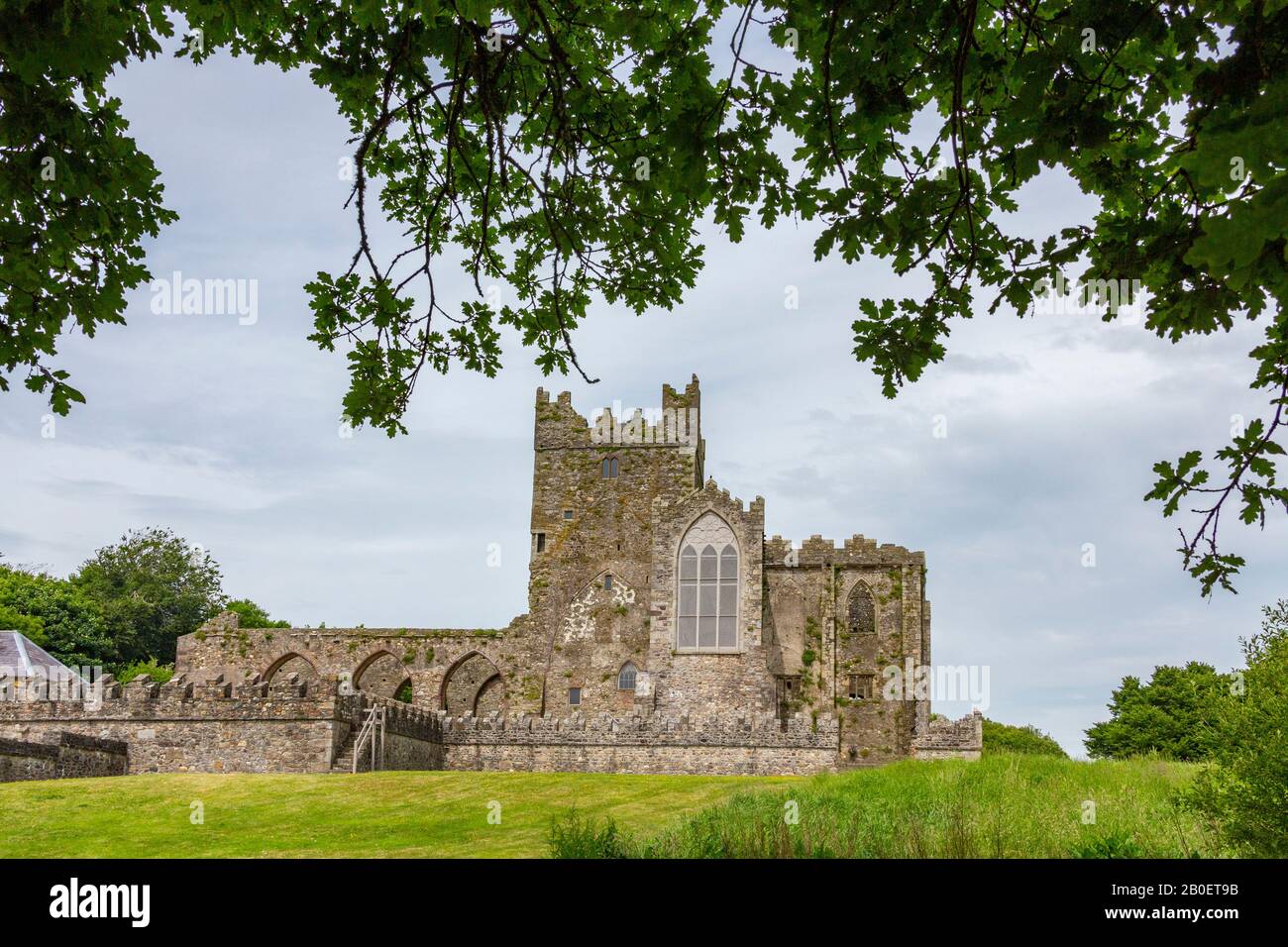 Tintern Abbey - le rovine di un'abbazia cistercense situato sulla penisola di Hook, County Wexford, Repubblica d'Irlanda. Foto Stock