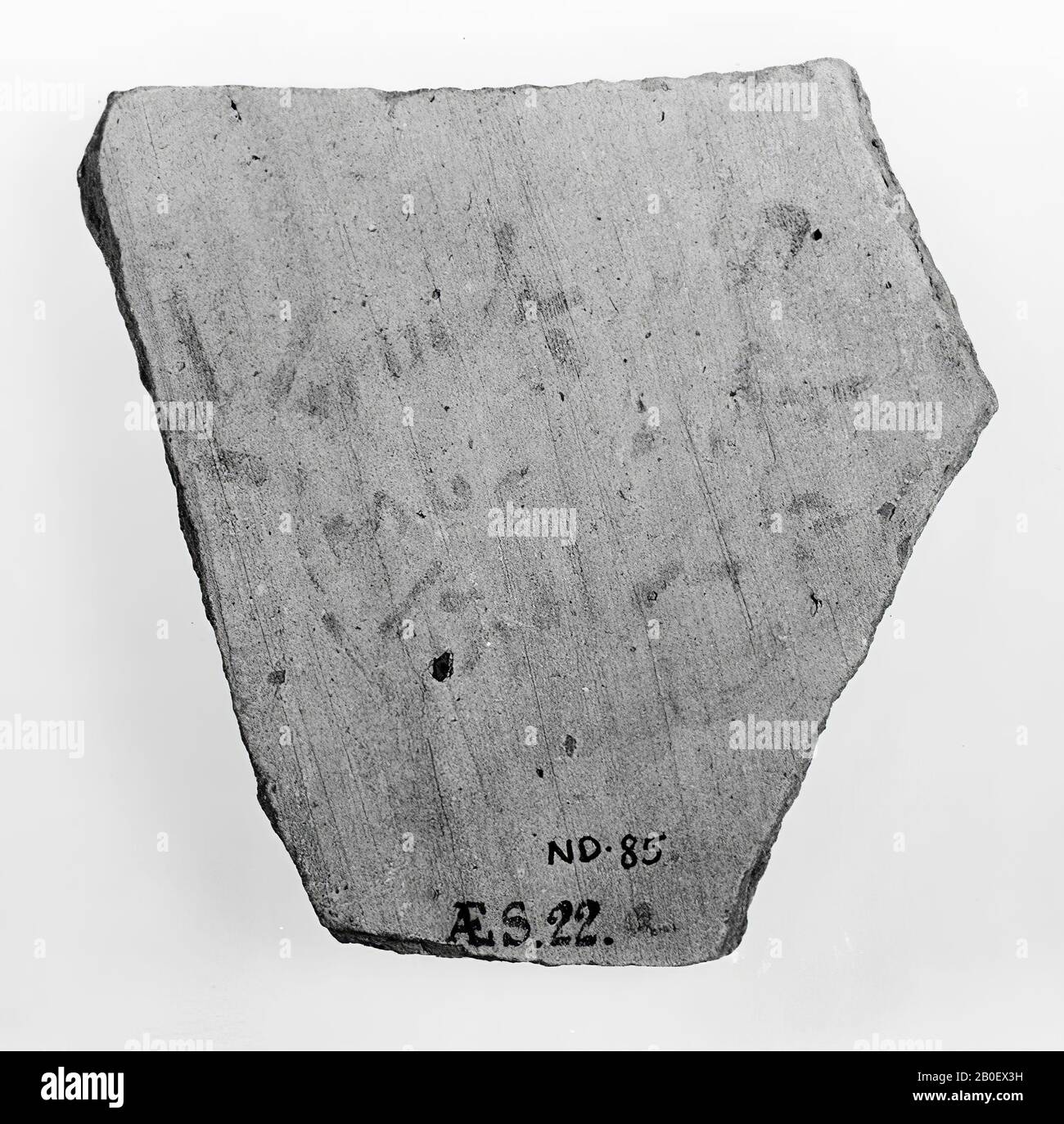 Bill, ostracono, demotico, ceramica, 6,9 x 7,9 cm, periodo greco-romano, Tolemae, Egitto Foto Stock