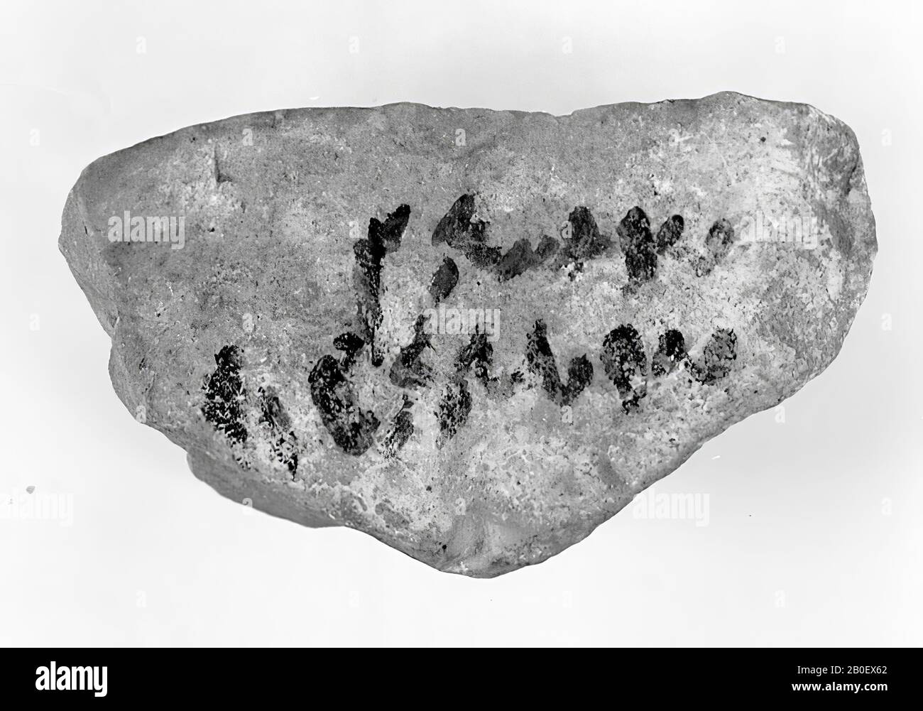 Lista dei nomi, ostracono, demotico, calcareo, 3,2 x 5,7 cm, periodo greco-romano, Egitto Foto Stock