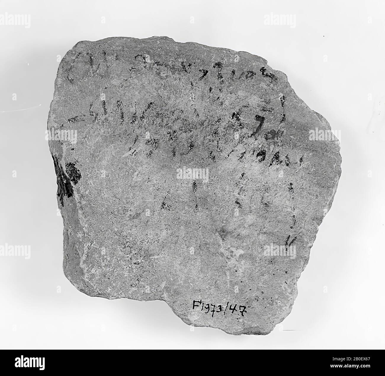 Tassa, ostracone, demotica, calcare, 7,8 x 7,5 cm, periodo greco-romano, Egitto Foto Stock