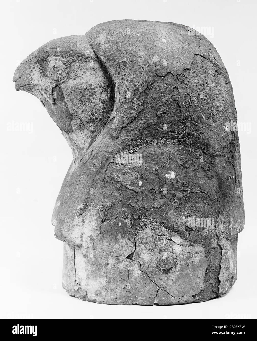 falcon, testa, stanghette, bronzo, 25 x 16 cm (9 13 Foto Stock