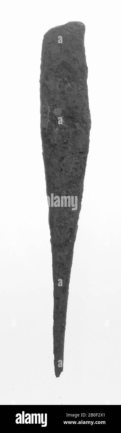 Punteruolo di ferro immagini e fotografie stock ad alta risoluzione - Alamy