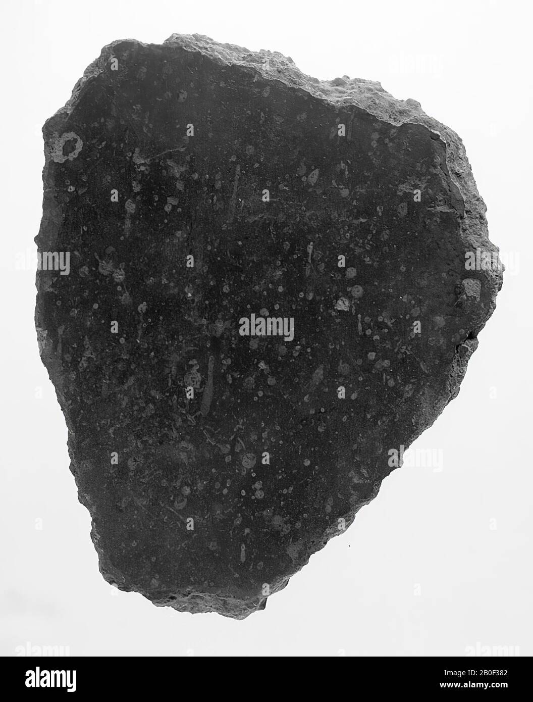 Stucco dipinto, marrone con puntini bianchi, imitazione di porfido, murale, frammento, Malta di calce, romano 1-200, Paesi Bassi, Limburgo, Maastricht, Heer, Baccerbosch Foto Stock