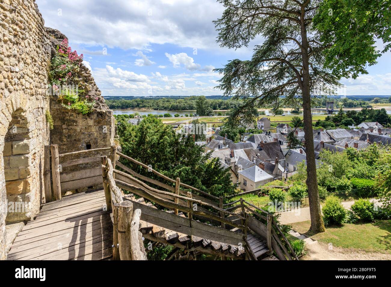 Francia, Indre et Loire, Loire Anjou Touraine Parco Naturale Regionale, Valle della Loira elencati come Patrimonio Mondiale dall'UNESCO, Langeais, Chateau de Langeais Par Foto Stock