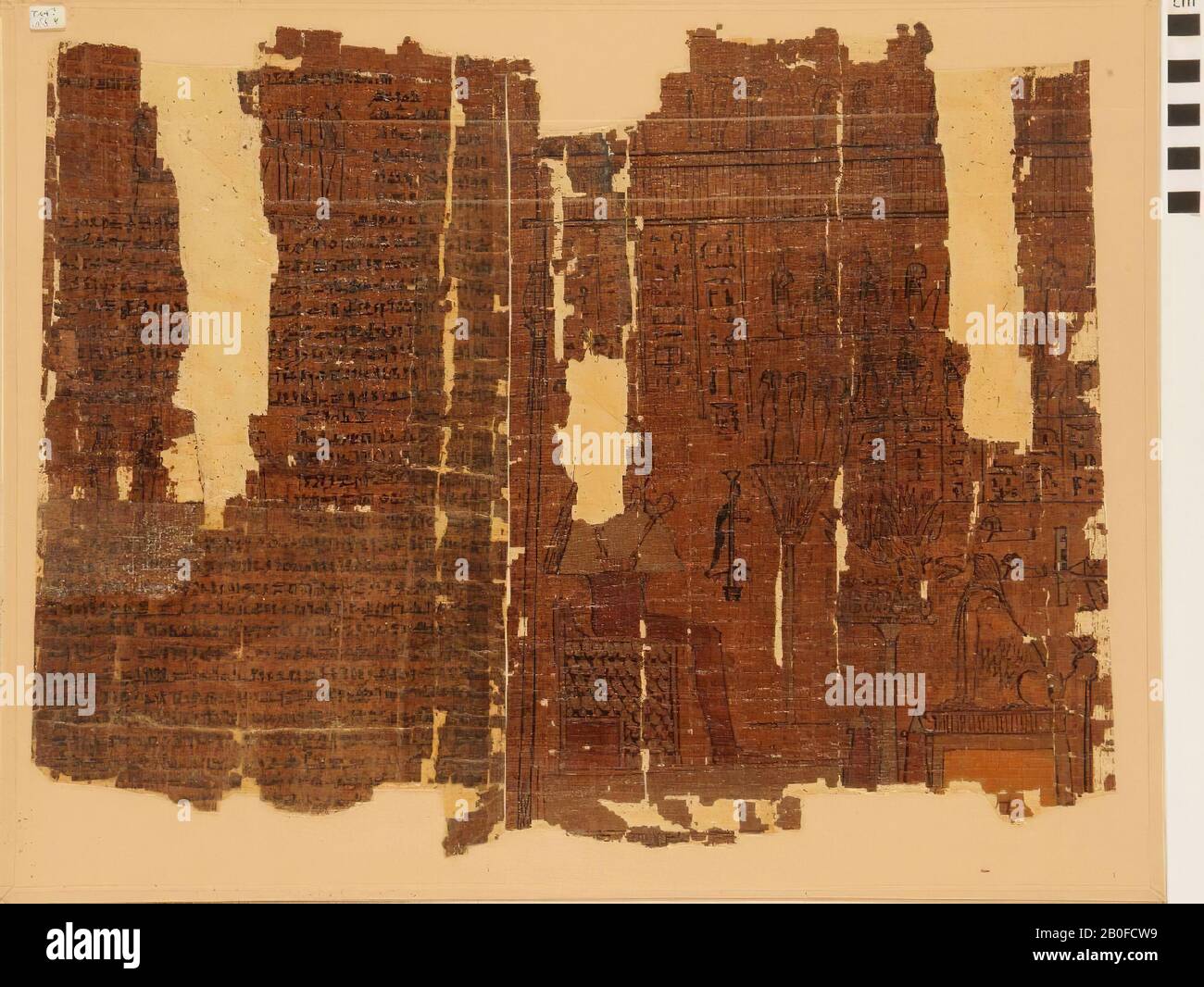 Egitto, scrittura a mano, ieratico, papiro, 38 x 48 cm Foto Stock