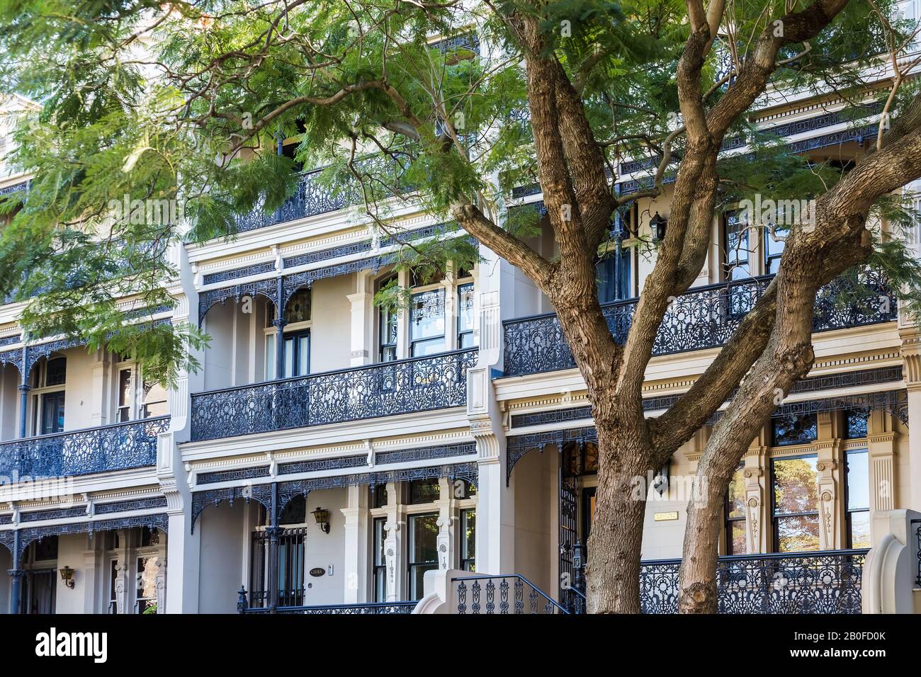 Australian Housing Styles, Victorian, Potts Point, Sydney. Foto Stock