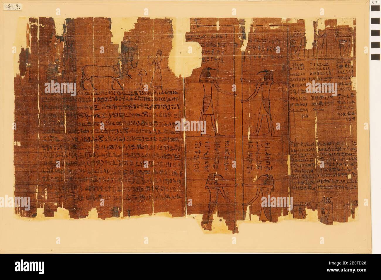 Egitto, scrittura a mano, ieratico, papiro, 35,5 x 56 cm Foto Stock