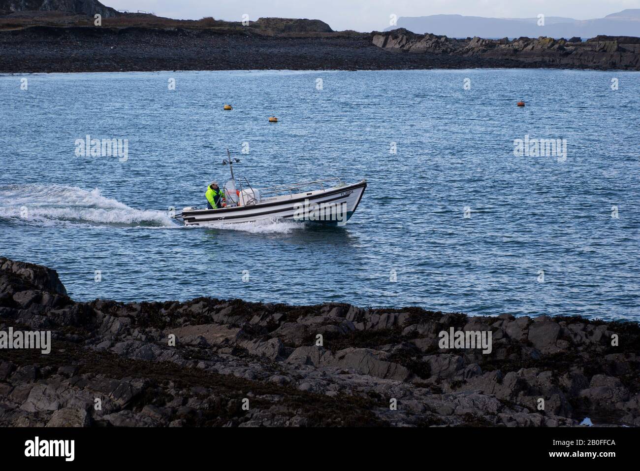 Imbarcazione da pesca di medie dimensioni in legno chiamata Fladda con un membro dell'equipaggio azionato da un motore fuoribordo nella Balvicar Bay ad est dell'Isola di Siel nella Scozia occidentale. Foto Stock