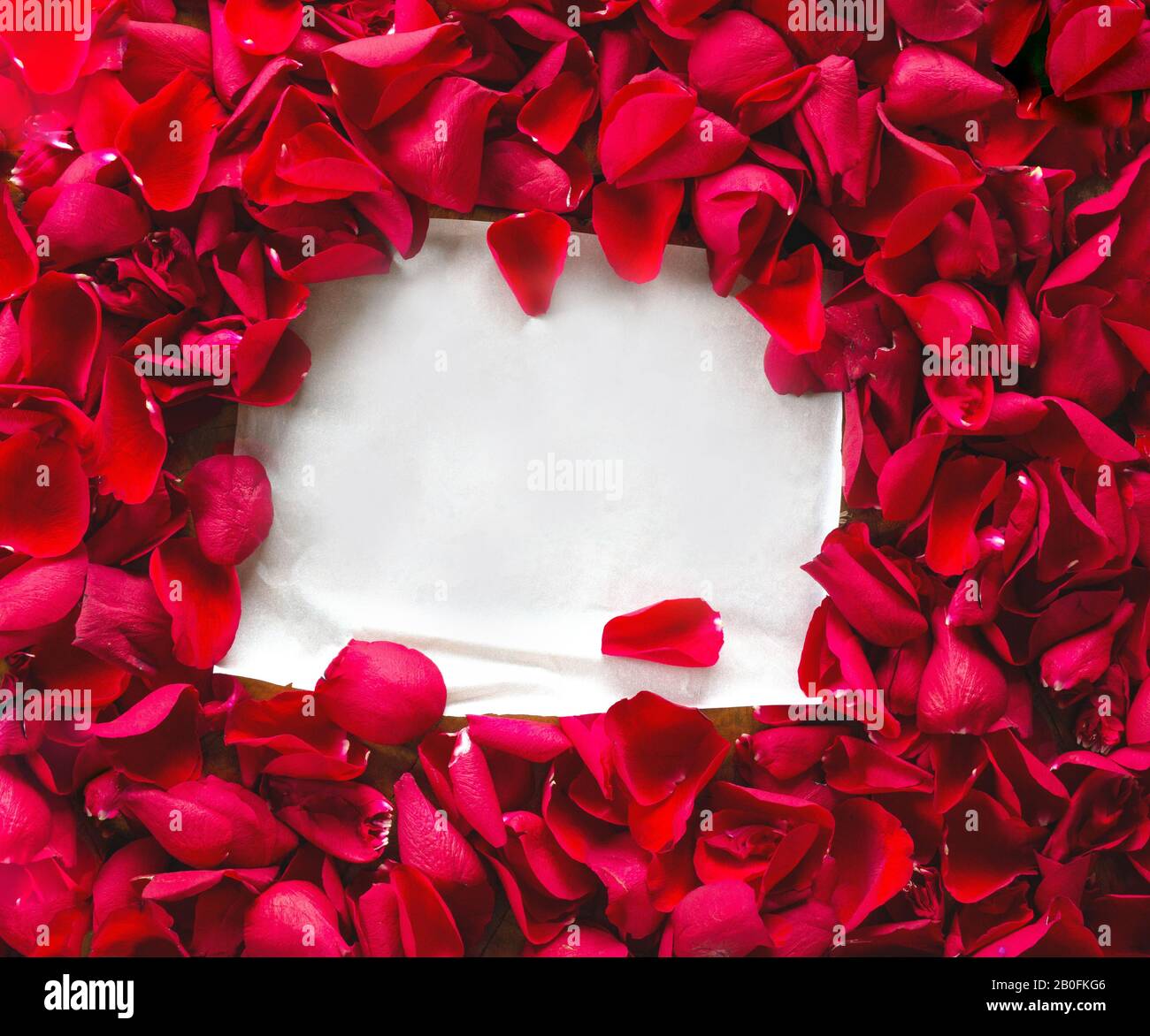 Carta bianca bianca bianca bianca circondata da petali di rosa rossa, spazio romantico di sfondo per il testo Foto Stock