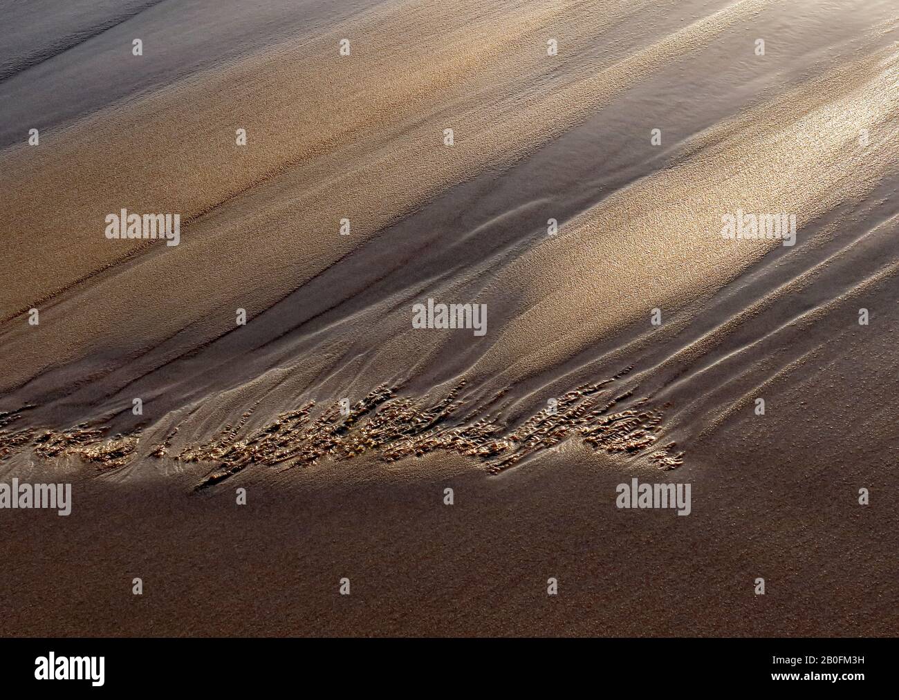 Abstract dettagliati schemi di marea in sabbia a bassa marea in Penbryn Beach in South West Wales UK Foto Stock