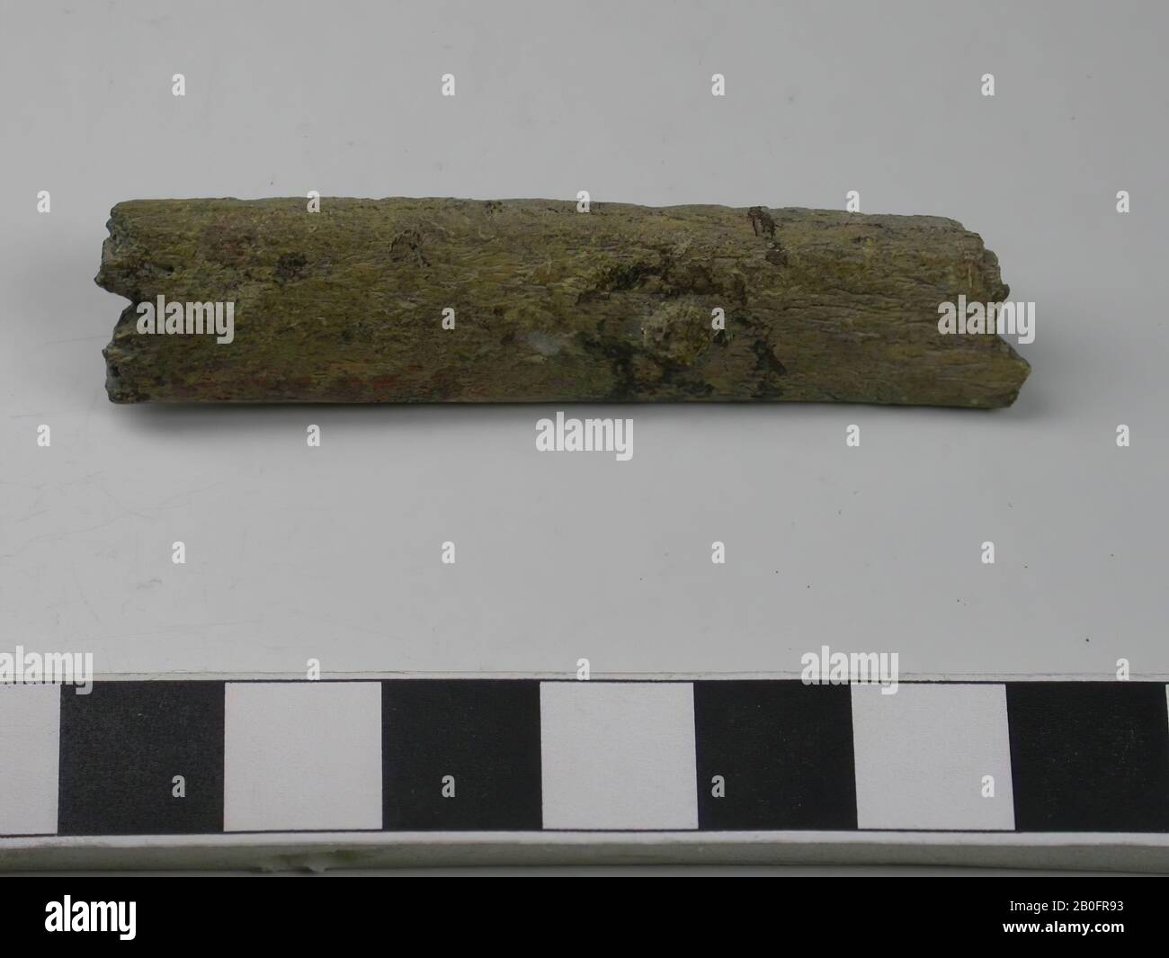 Frammento di una lama per impugnatura di un pettine a tre strati. Tipo: Da non determinare. Varie possibilità: Pettine lungo, pettine cresta, pettine ad alette, pettine parzialmente a due lati. Decorazione: Non decorata. Forma: Base dritta, dritta. Piastre denti: 0. Piastre terminali: 0. Denti: 0. Rivetti: 1. Solo una parte della lama è stata conservata., frammento Di Pettine, organico, palchi, l = 5,9 cm e b = 1,3 cm, Vmec 800 -900 Foto Stock