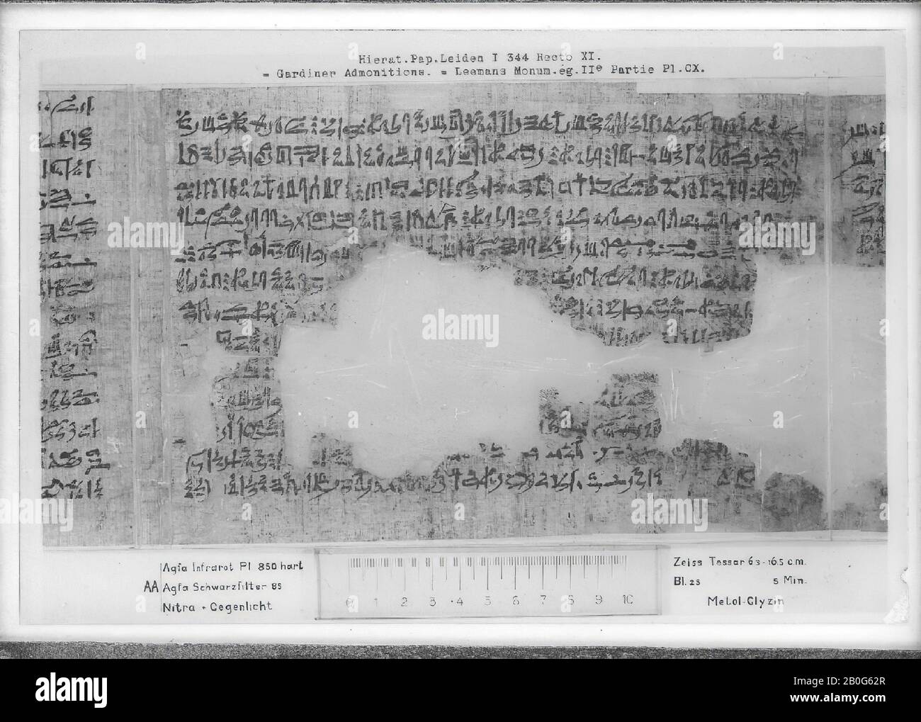 Egitto, calligrafia, ieratica, papiro, 19 x 48 cm Foto Stock