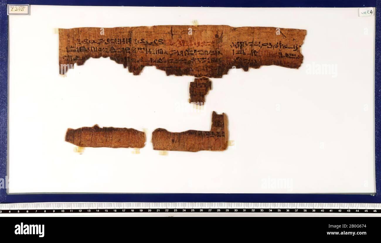 Egitto, scrittura a mano, hieratico, papiro, 9,5 x 28,5 cm, frammento più grande Foto Stock