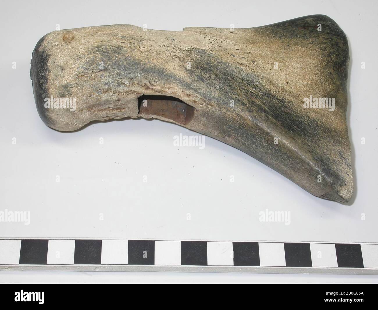 antler con foro quadrato per fissaggio, martello, organico, palchi, 13,5 x 9,8 cm, preistoria Foto Stock