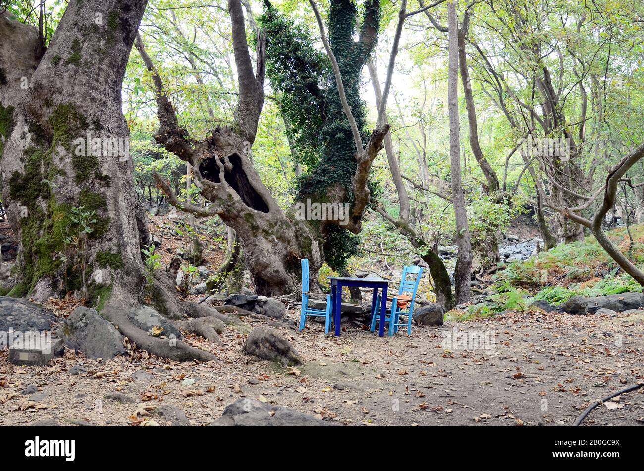 Grecia, Samotracia, luogo divertente per riposare in mezzo alla foresta Foto Stock