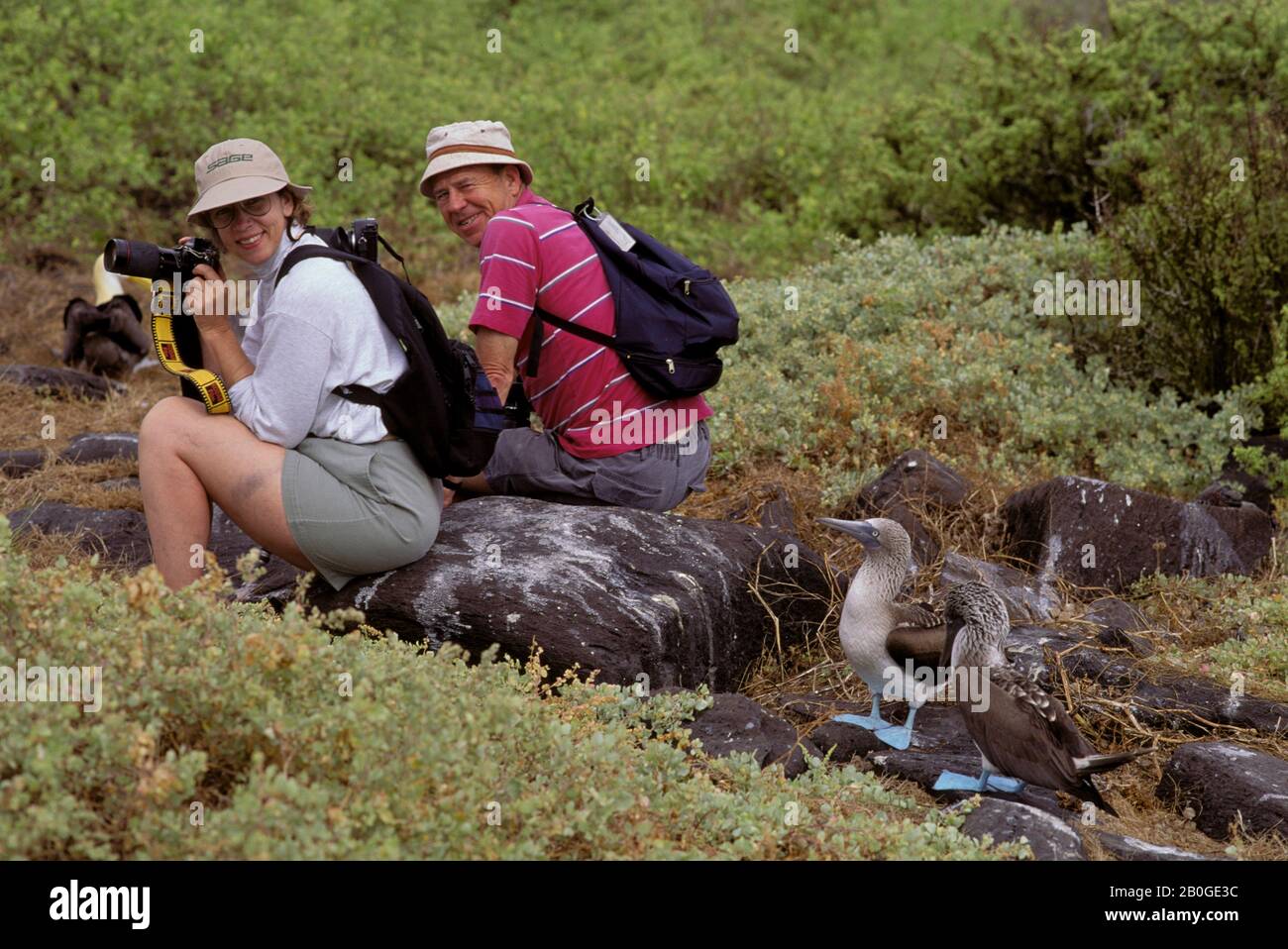ECUADOR, ISOLA GALAPAGOS, HOOD (ESPANOLA) È., BOOBIES BLU-FOOTED CON I TURISTI Foto Stock