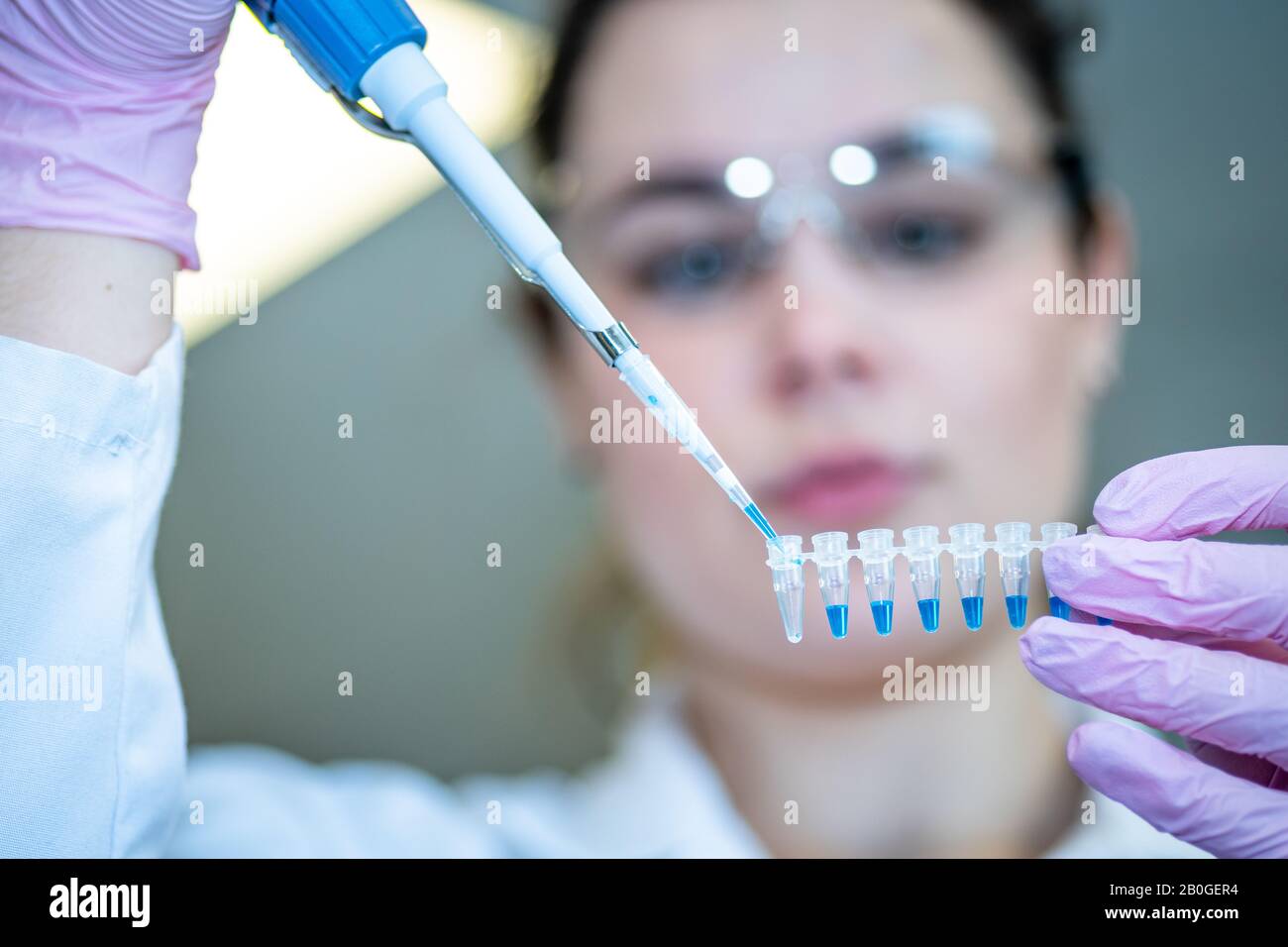 Ricercatore che lavora in laboratorio di biotecnologia Foto Stock