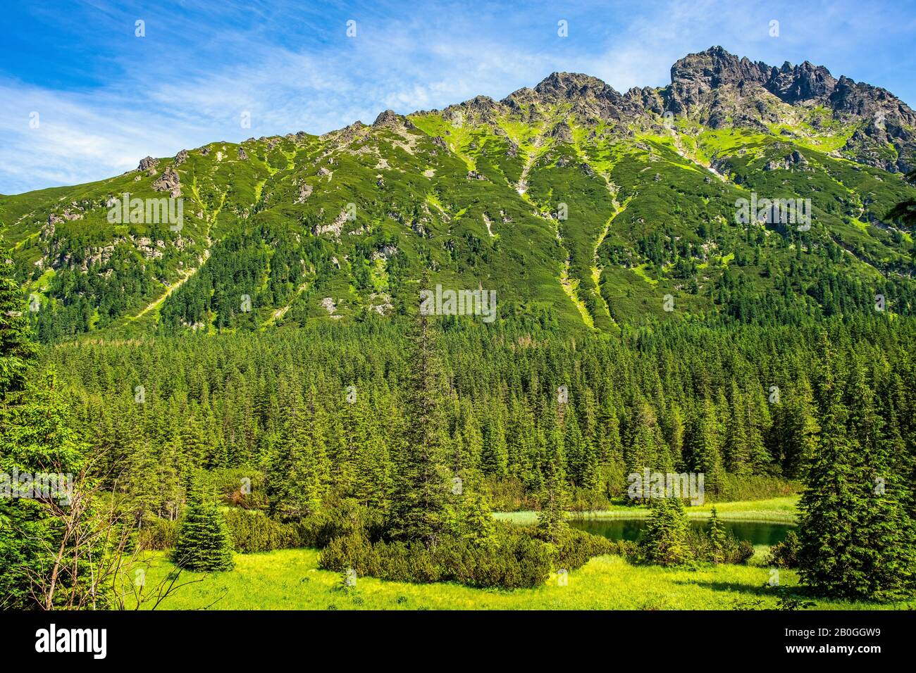 Vista panoramica del crinale dei sette Granati - Siedem Granatow - all'interno della catena Zabia Gran sopra la valle di Rybi Potok nei Monti Tatra, vicino a Zakopane, Polonia Foto Stock