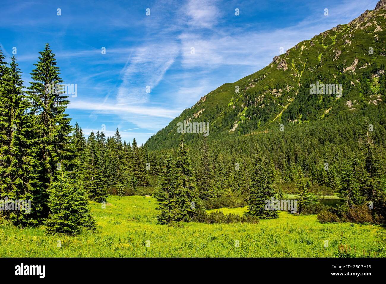 Vista panoramica del crinale dei sette Granati - Siedem Granatow - all'interno della catena Zabia Gran sopra la valle di Rybi Potok nei Monti Tatra, vicino a Zakopane, Polonia Foto Stock