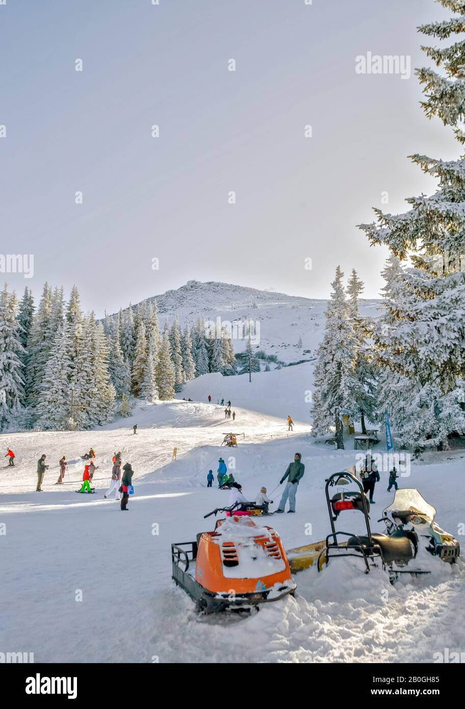 Inverno Sul Monte Vitosha; Bulgaria; Foto Stock