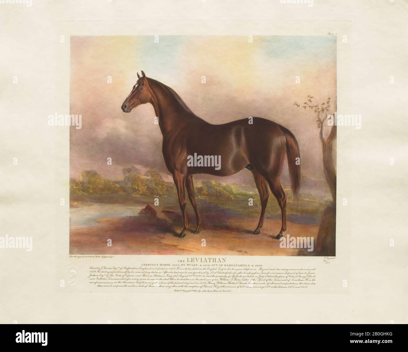 La testa di Gosden, Dopo Edward Troye, (americano, 1808–1874), Leviathan, Da Venti stampe Colorate A Mano dopo Dipinti Originali di Famosi oroughbreds americani di Edward Troye (1808–1874), 1932, Mezzotint su carta, immagine: 12 3/16 x 14 3/4 in. (31 x 37,5 cm Foto Stock