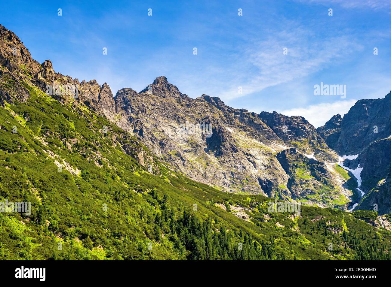 Vista panoramica della cresta dei sette Granati - Siedem Granatow - e della cima Zabia Czuba all'interno della catena Zabia Gran sopra la valle di Rybi Potok nei Monti Tatra Foto Stock