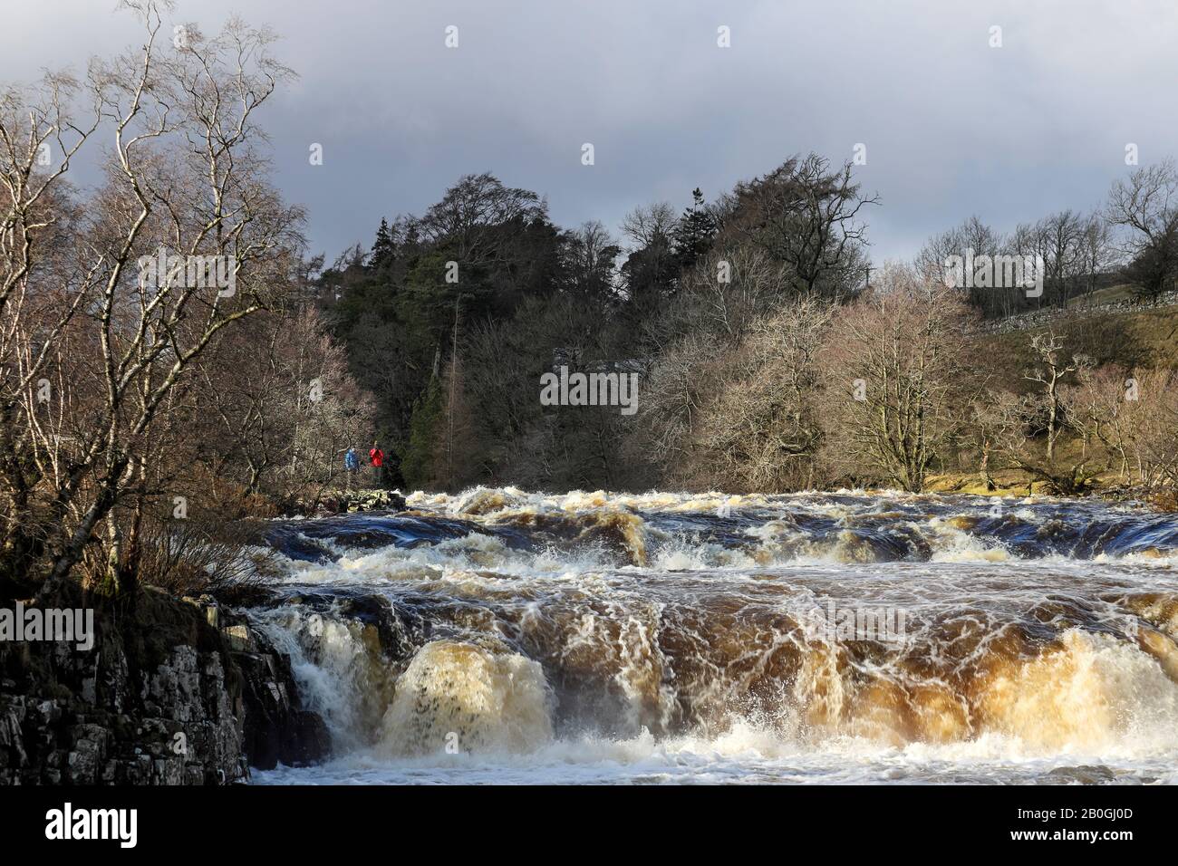 Teesdale, County Durham, Regno Unito. 20th febbraio 2020. Meteo Regno Unito. La pioggia pesante ha dato il senso al sole e alle docce questo pomeriggio ed i livelli del fiume sui T del fiume a bassa forza hanno cominciato a cadere. Tuttavia, con un avvertimento meteo giallo per il vento e la pioggia pesante in vigore per i livelli del fiume domani si prevede di aumentare significativamente di nuovo. Credit: David Forster/Alamy Live News Foto Stock