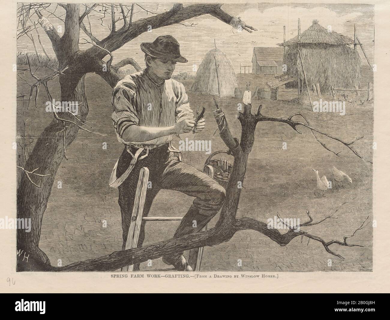 Dopo Winslow Homer, American, 1836–1910, Spring Farm Work - Innesto, Da Harper's Weekly, vol. 14, 30 Apr. 1870, incisione su carta da giornale, immagine: 6 7/8 x 9 1/8 in. (17,5 x 23,2 cm Foto Stock