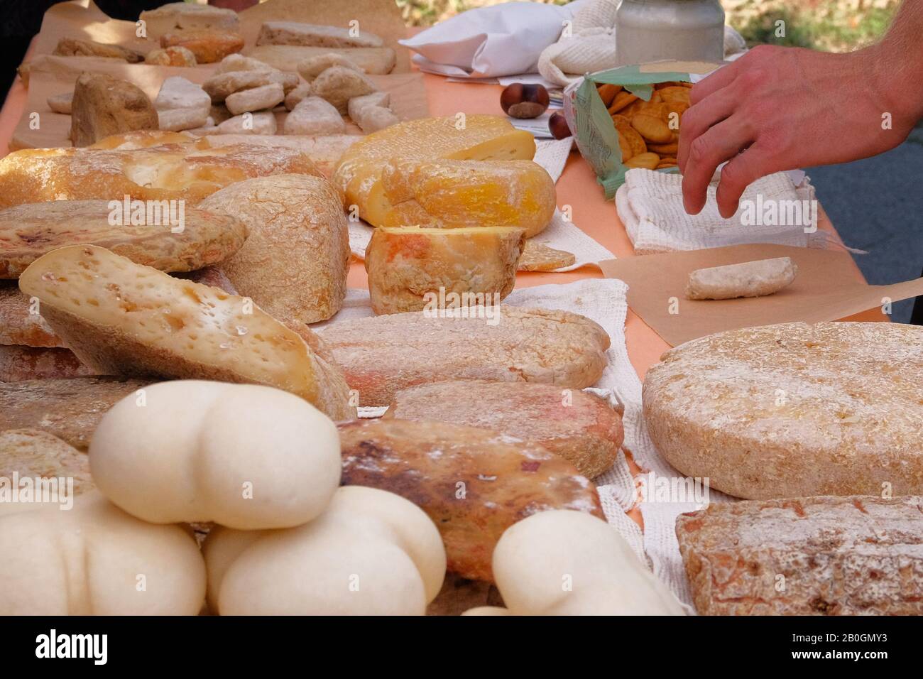 Varietà di varietà formaggi tradizionali nazionali in vendita sul mercato agricolo rurale. Produzione e vendita di formaggi nei mercati locali. Foto Stock