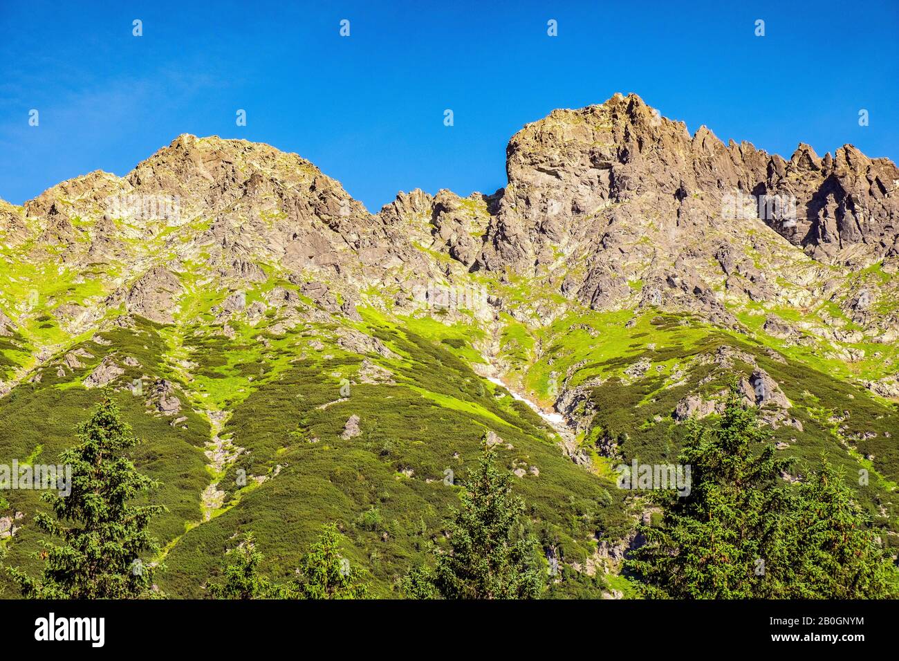 Vista panoramica del crinale di Seven Granats - Siedem Granatow - all'interno della catena Zabia Gran sopra la valle di Rybi Potok nei Monti Tatra, vicino a Zakopane in Polonia Foto Stock